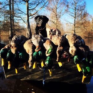 Meet your Posher, Cody